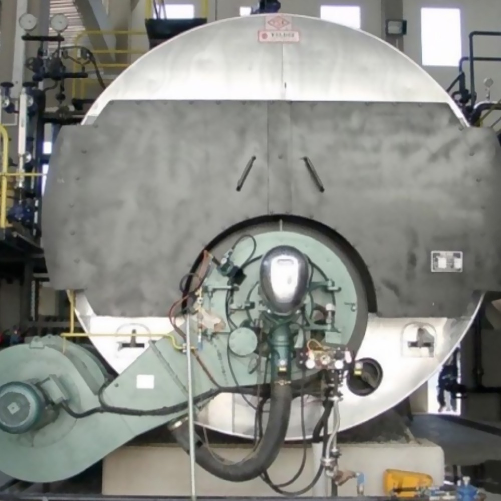 Two new 12 t/h steam boilers, featuring metal piping, gauges, and control panels, are installed in a factory. Each boiler has a round silver front with a central burner assembly connected to various hoses and machinery.